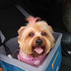 Meet your Posher, Lisa